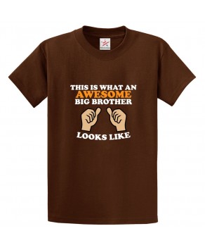 This Is What An Awesome Big Brother Looks Like With Thumbs Up Unisex Classic Kids and Adults T-Shirt